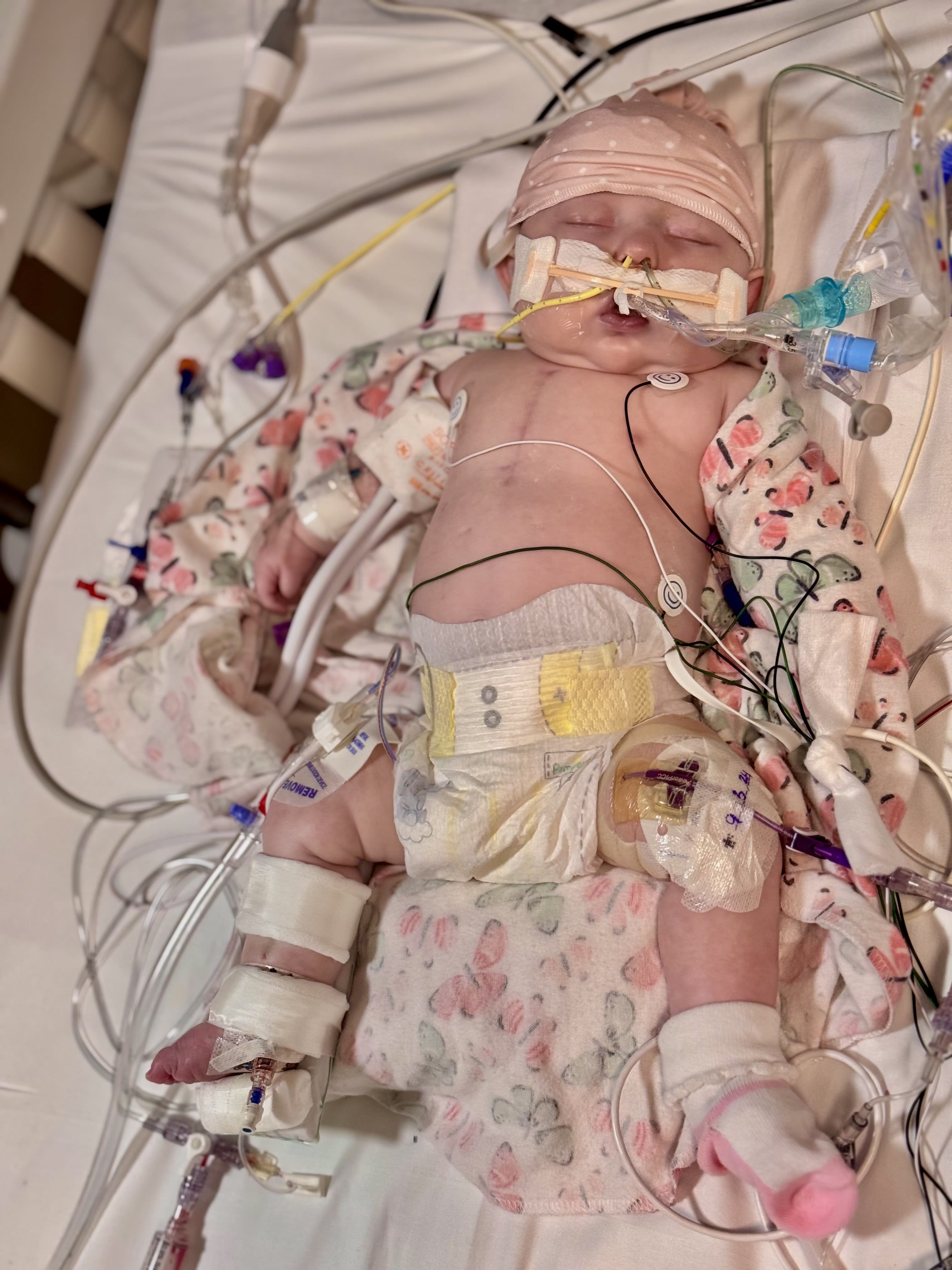 Image from 09/04/2024 Update