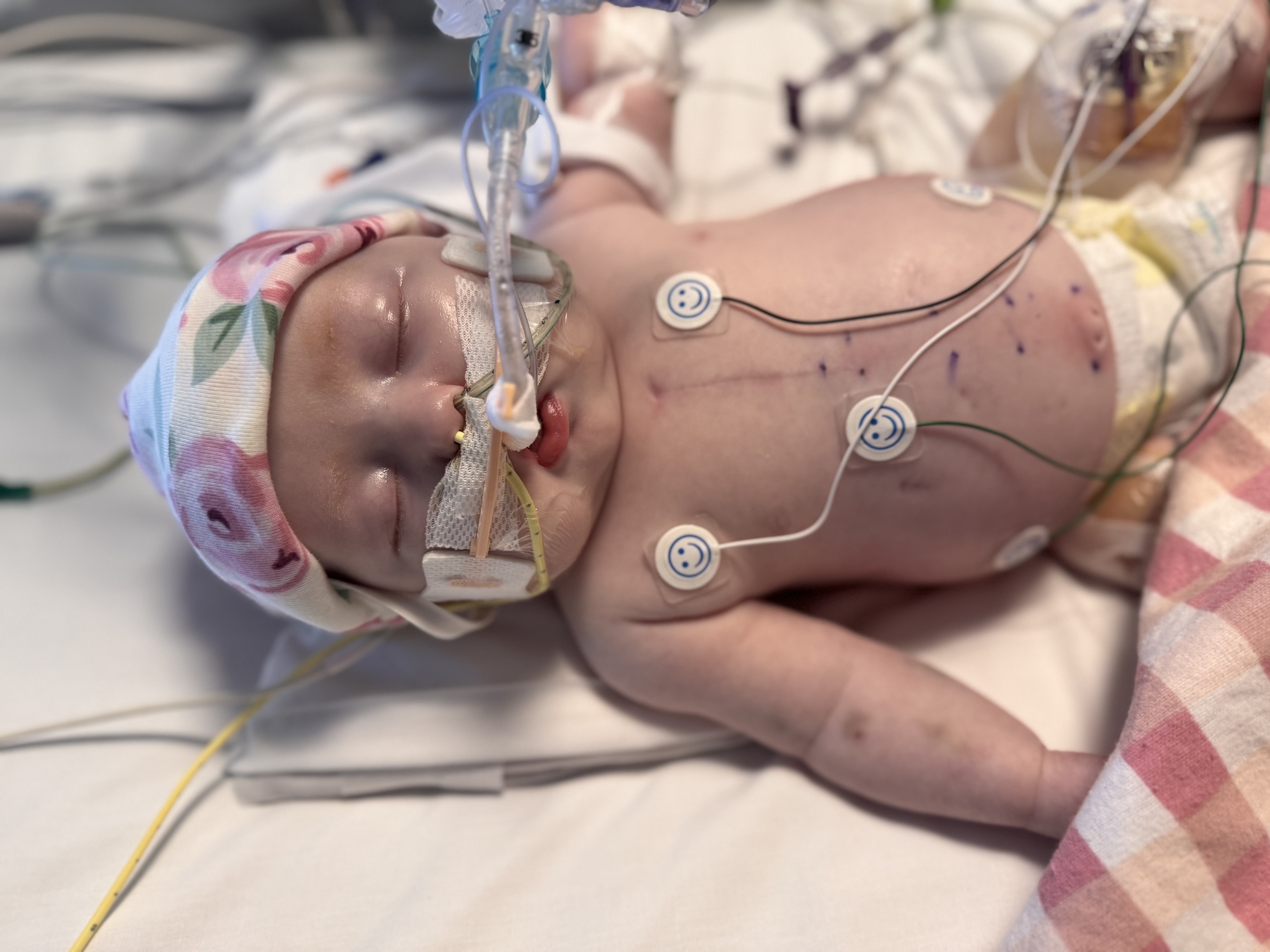 Image from 09/07/2024 Update