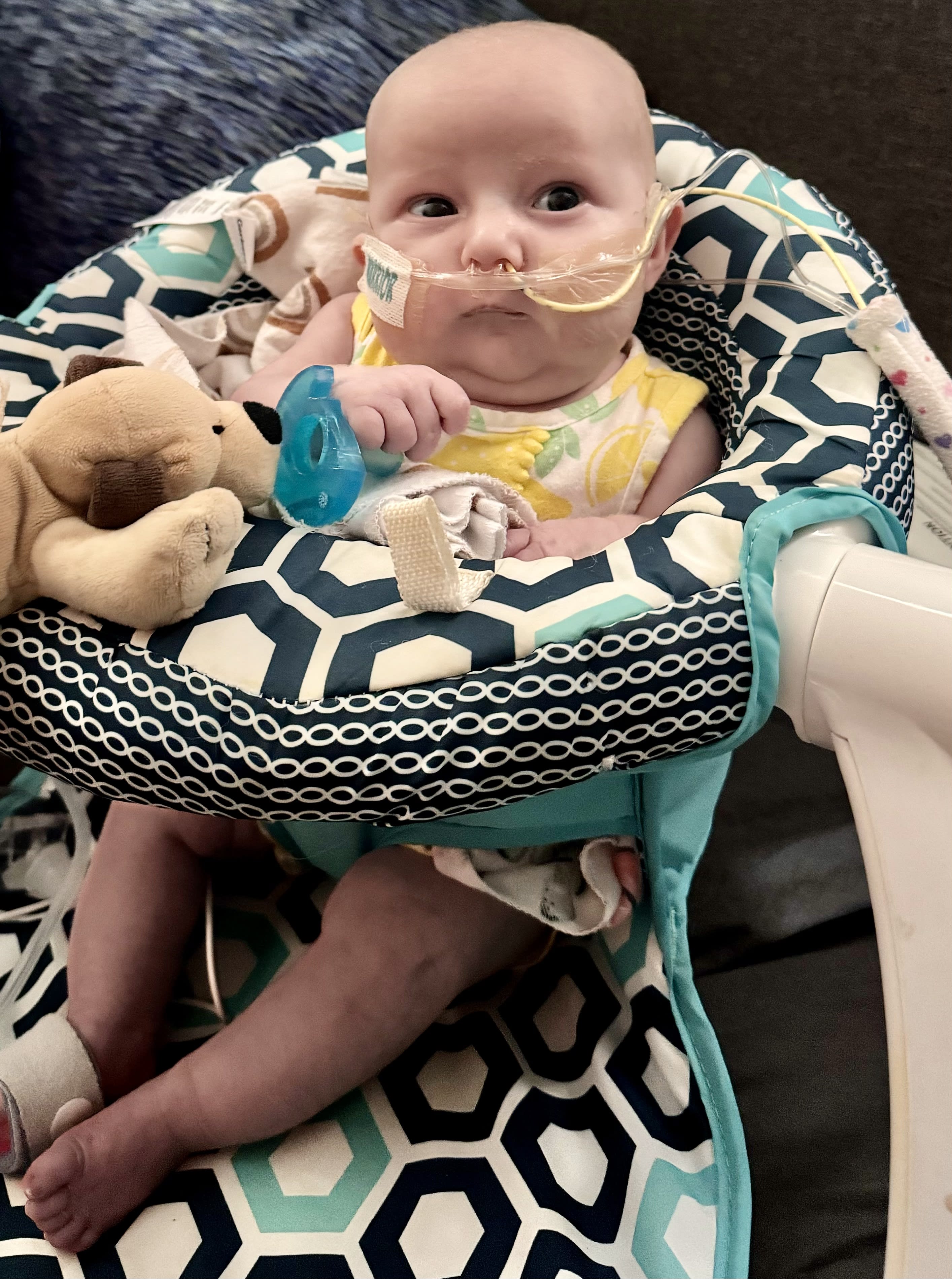 Image from 08/08/2024 Update