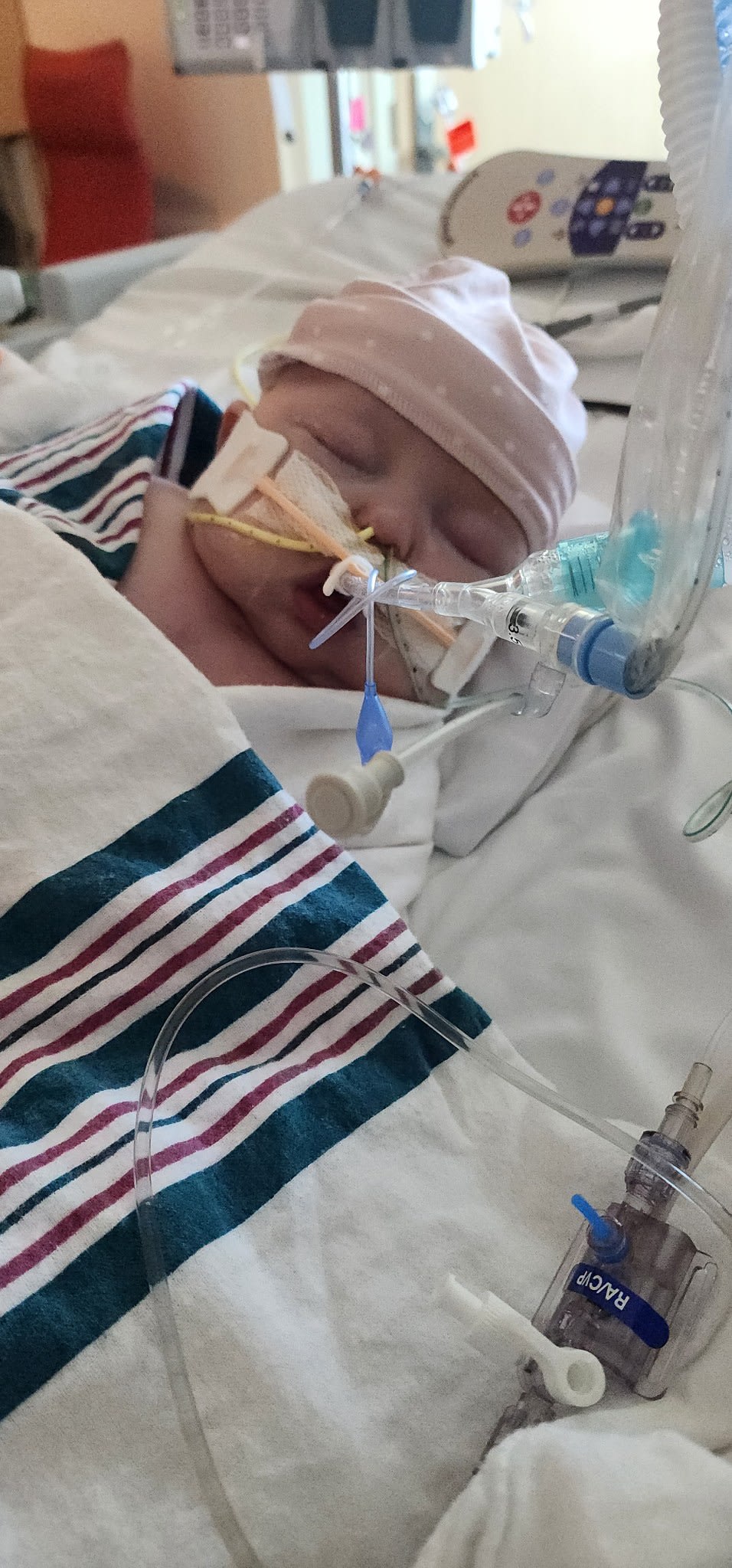 Image from 09/06/2024 Update