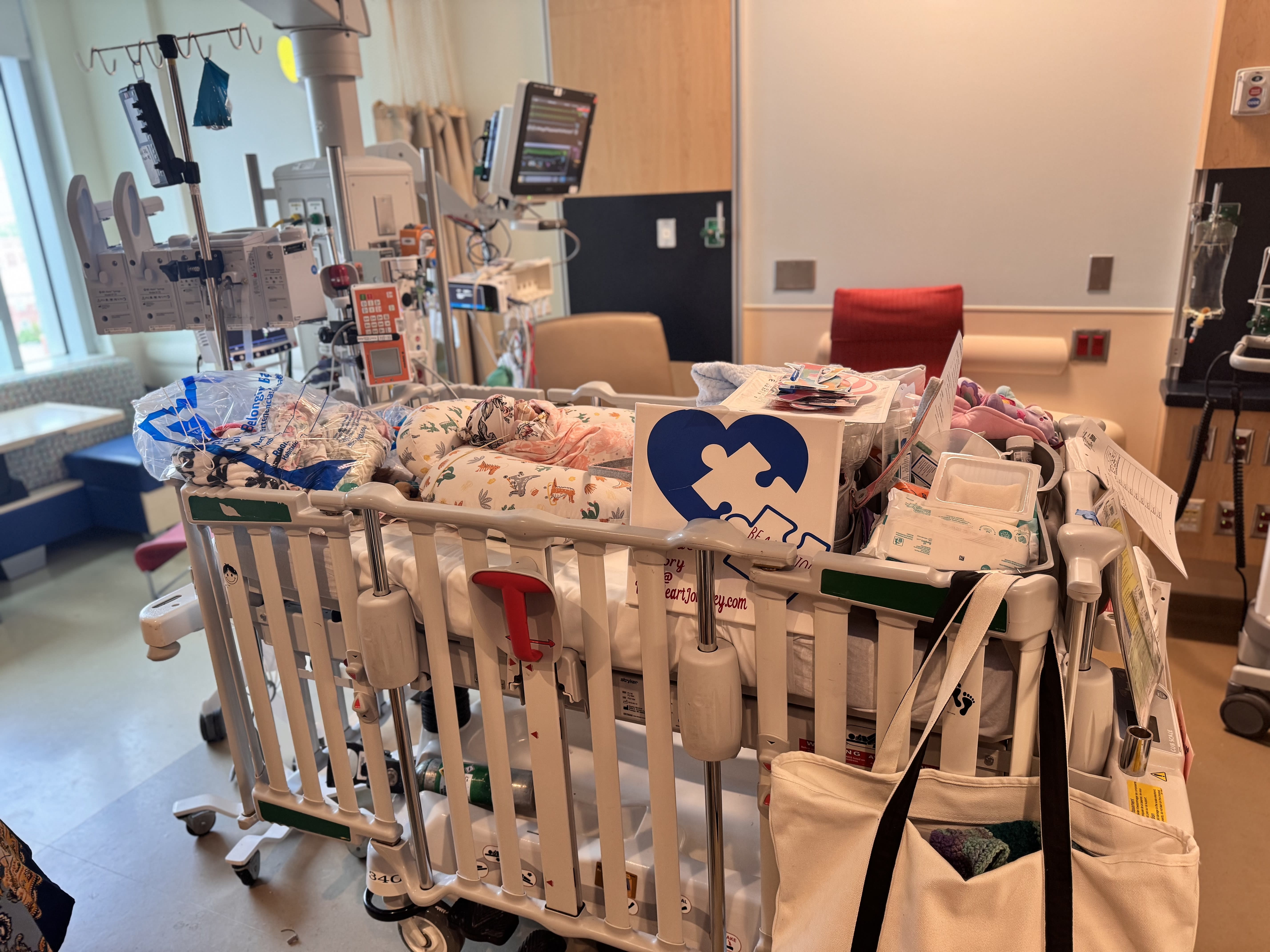 Image from 07/08/2024 Update