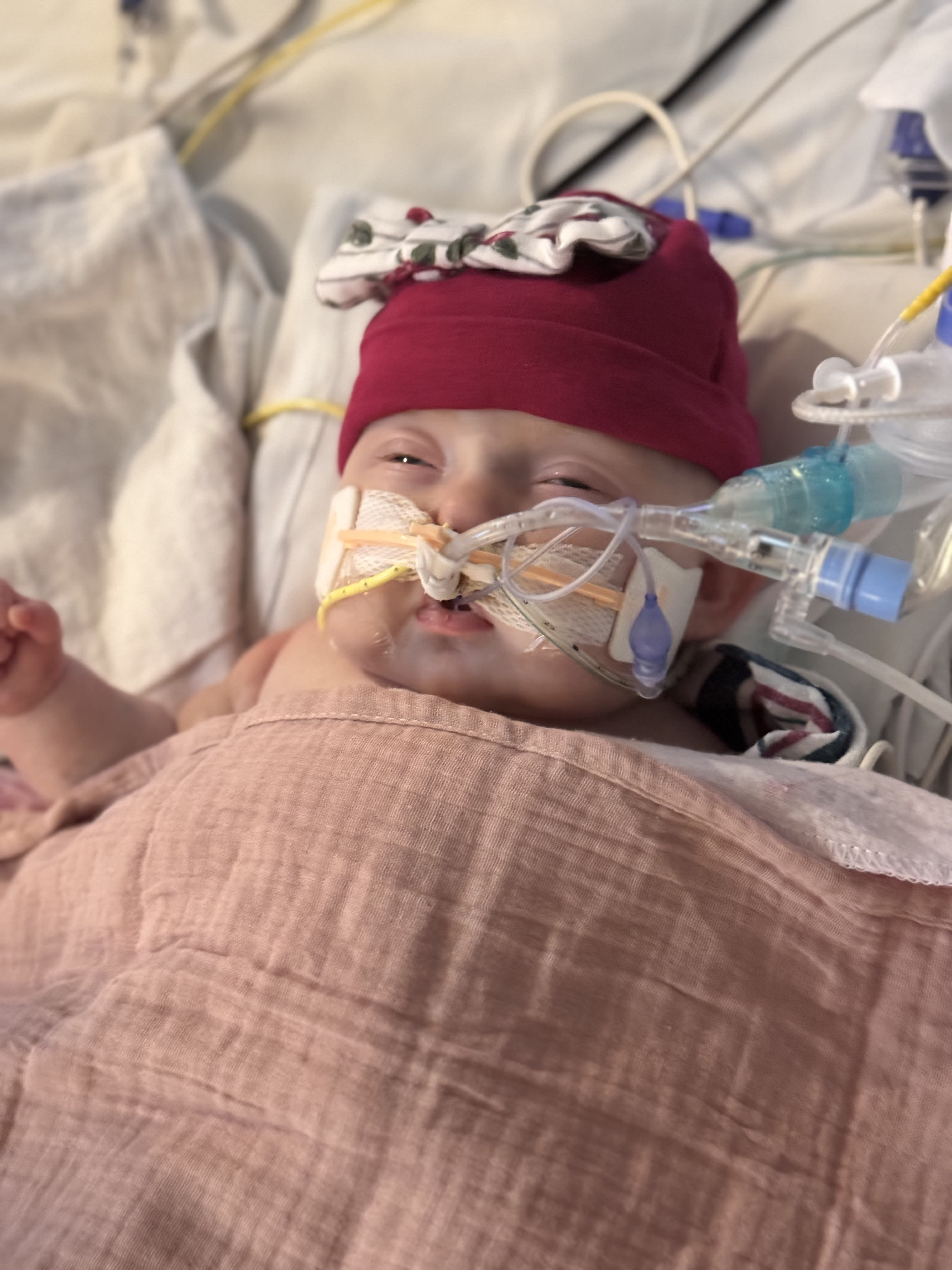 Image from 09/06/2024 Update