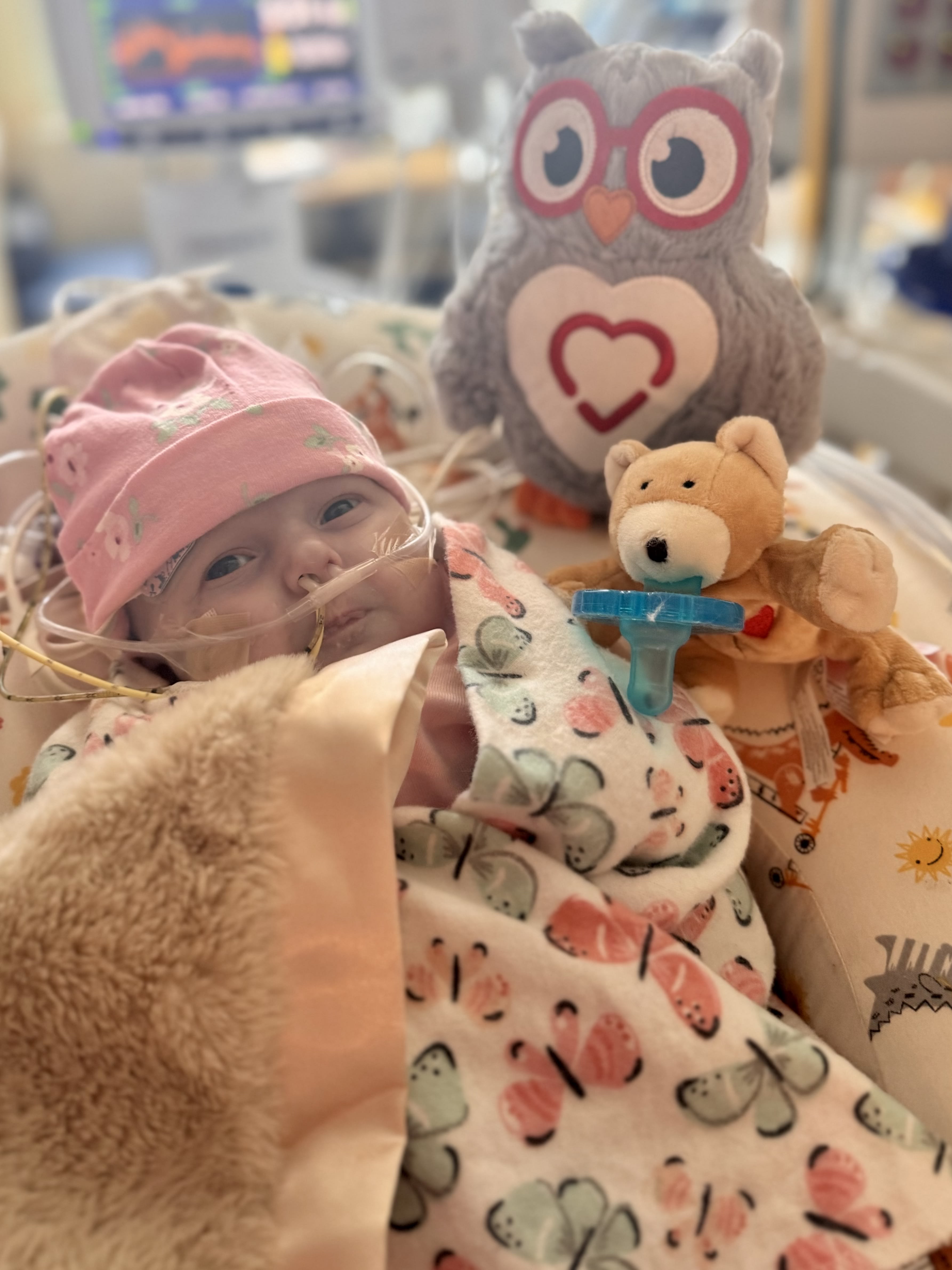 Image from 07/03/2024 Update