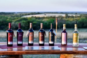 Viñedo Los Aromitos