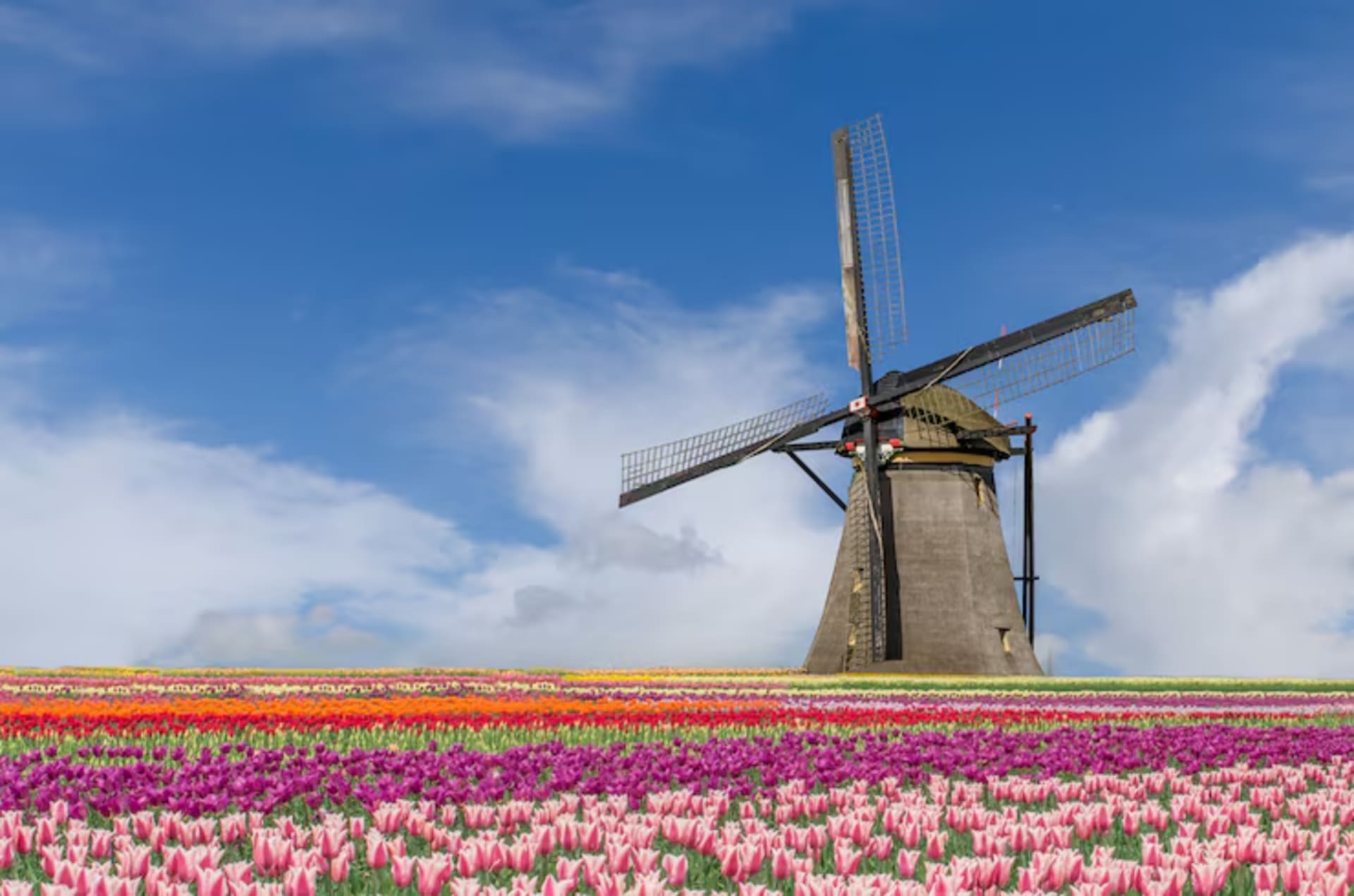 Everything I'd tell a friend visiting Amsterdam for the first time