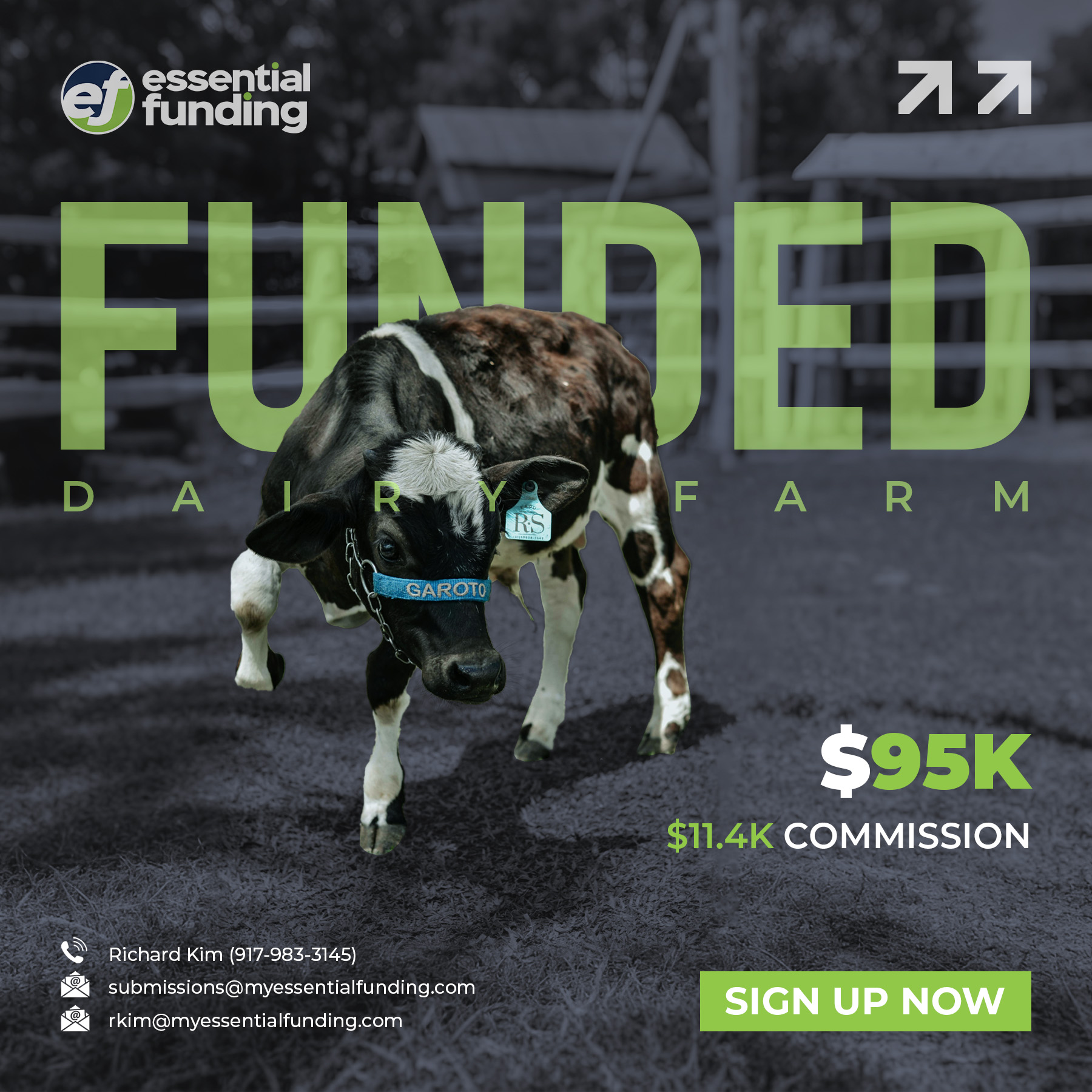 Fundings 33
