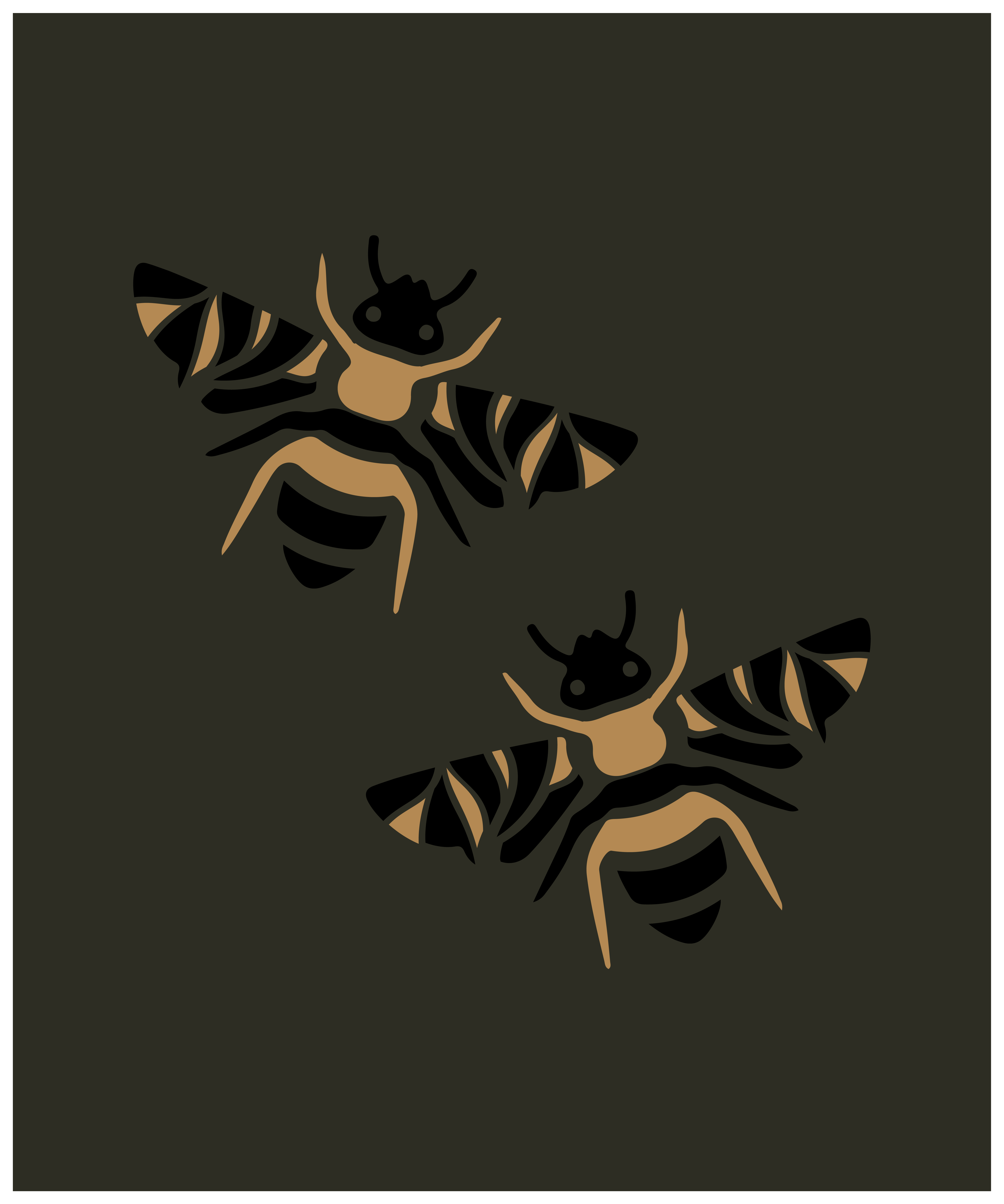 Product 6