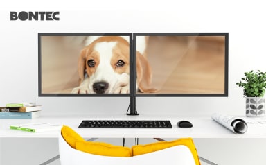 Bontec Dual Monitor Mount