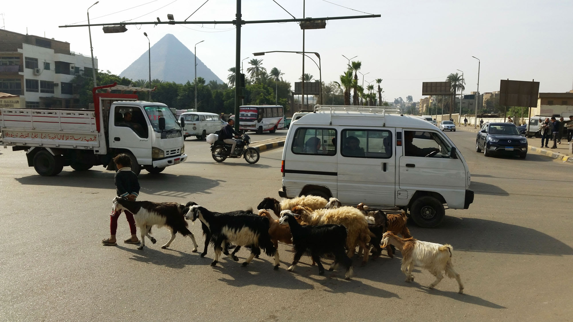 tour d'afrique avis