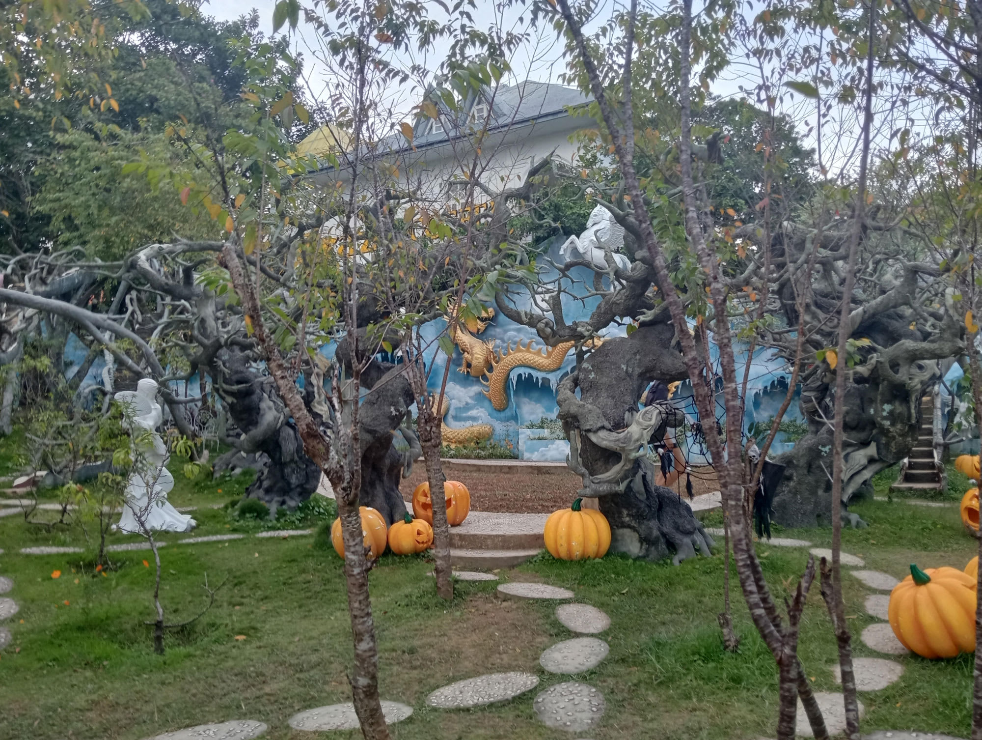 The 2025 Golden Buddha Ride: What To Expect | TDA Global Cycling