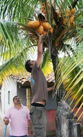 cristiano foraging for food in Honduras