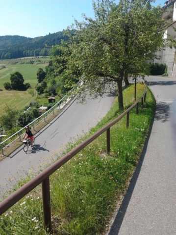 Lisa descend a steep hill on the Danube Cycleway