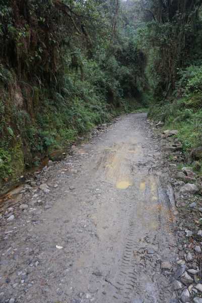 Leaving Manizales, riders were faced with a brutal climb up to a 4,000+ meter off-road pass near Parque Nacional Nevado.