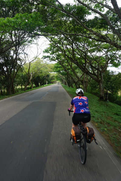 Kaye represents her Kiwi heritage through the tree tunnel