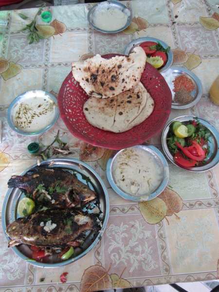 nile perch abu simbel rest day lunch less than 3 dollars