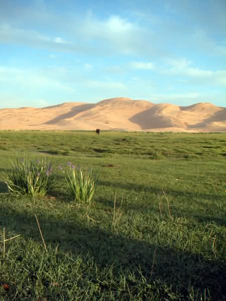 the-gobi-desert-1388461