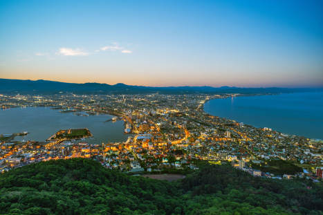 iStock-1497025569