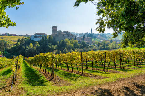 Countryside-near-Modena