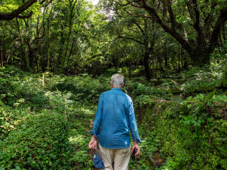 Finding My Ikigai: Cycling In Japan Henry-on-a-walk-through-the-forests-of-Nagasaki