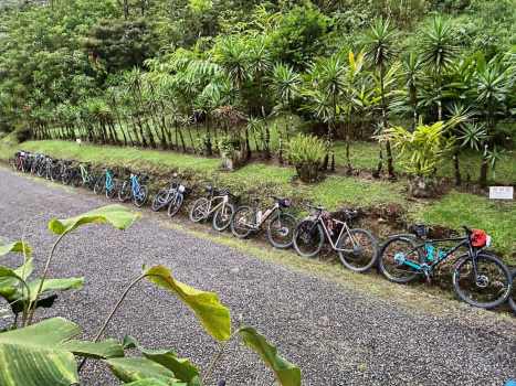 Bikes of the Ruta Maya