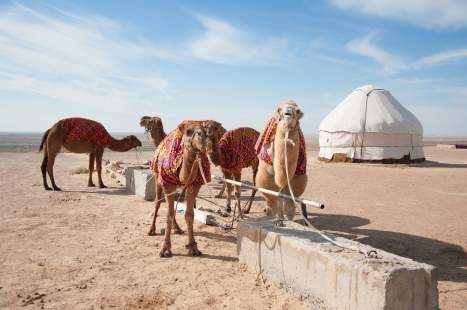 iStock-1160353881