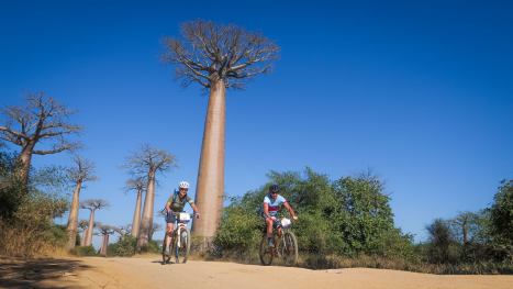 Eleanor-and-David-cycle-through-the-Avenue-of-the-Baobabs