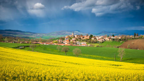 iStock-2148797976
