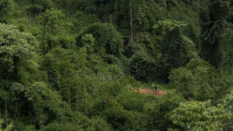 Scouting China & Laos On The Road to Shangri-La A TDA rider takes on a section of dirt in a section of Vietnamese rainforest.