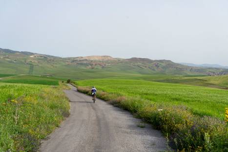 TunisianFarmRoads