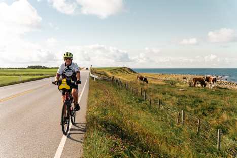 Rae-Rogers-Simpson-riding-along-Norway’s-open-coastline,-with-grazing-cows-and-the-North-Sea-beside-her.