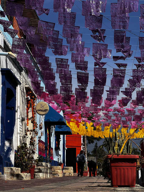 Oaxaca On Two Wheels: A Street-Art Ride Into Mexico's Soul | TDA