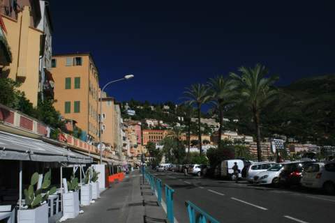 France - Palm trees in Villafranca