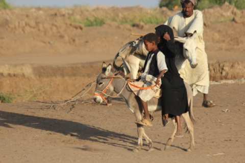 Local travel