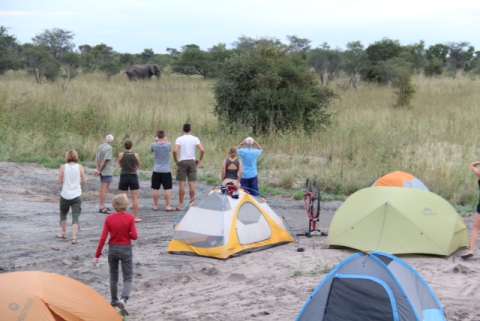 Elephant highway lives up to its name