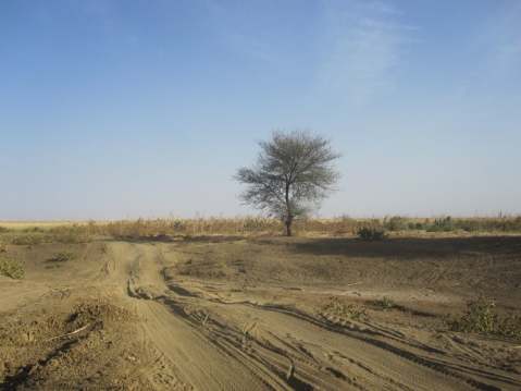 The Sandy Road to Camp