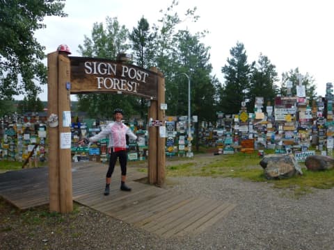 Sign post forest