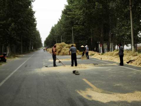 Using the road to dry out crops