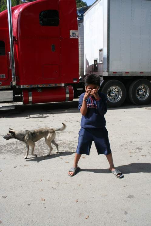 border urchin and dog