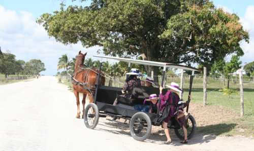 Mennonite country