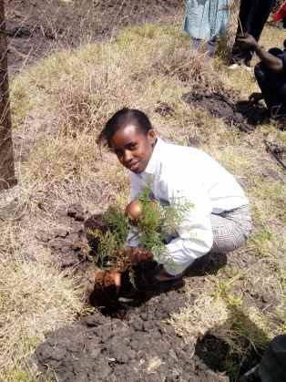 High-School-Student-Planting-a-Tree.jpg