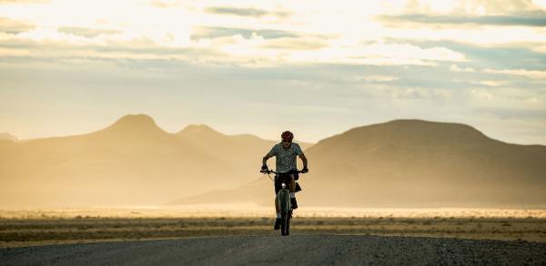 The Sheltering Desert