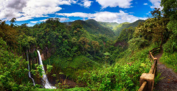 Pura Vida - The Best Of Costa Rica