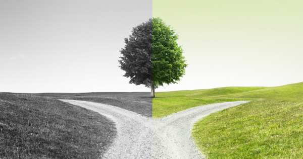 Unexpected Europe On The Plum Ride: The Road Less Travelled