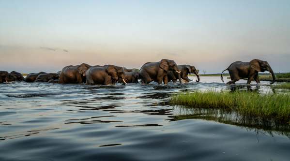 Cycling Botswana