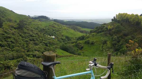 Blog 12 - 03 - Lush Vegetation