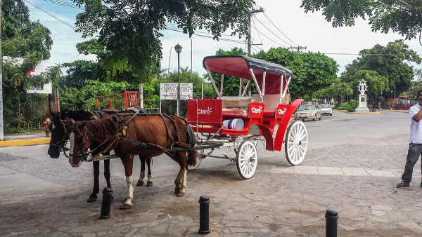 08 Claro buggy