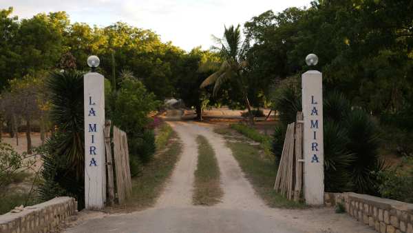 A Malagasy Dream