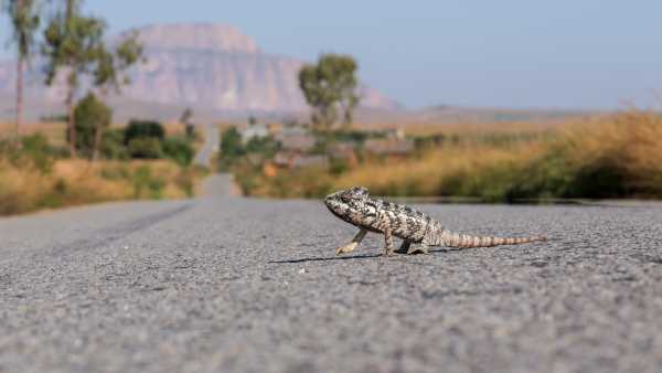 Why I Would Love To Cycle The Magical Madagascar Cycling Tour Again