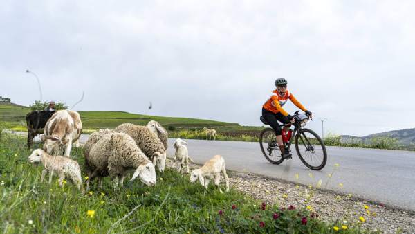 Cycling the Mediterranean In Europe and North Africa - Andalucía, Algeria, Tunisia & Sicily