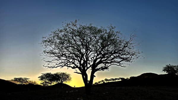 Africa: Ocean To Ocean - Difficult & Complex? Bring It On!